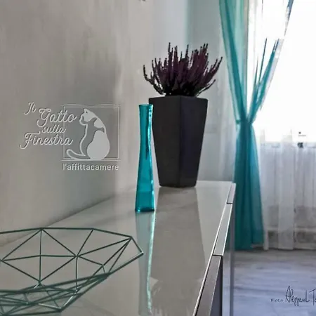 Il Gatto Sulla Finestra
