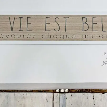 Il Gatto Sulla Finestra לסי