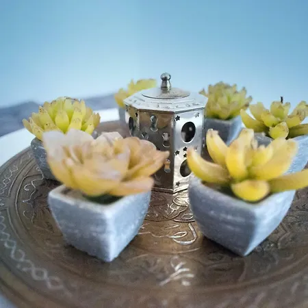 ゲストハウス Il Gatto Sulla Finestra イェージ